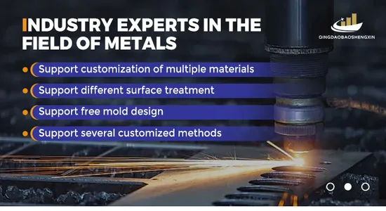 Customized High Precision Zinc Alloy Die